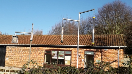 Bird feeding station at Lound Lakes - Andy Hickinbotham