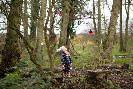 Suffolk Wildlife Trust