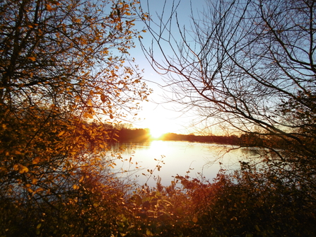 sunset at Lackford