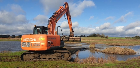 Pool scraping at Hen Reedbeds - Dan Doughty