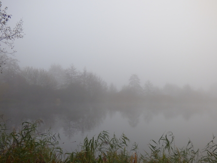 misty lake at Lackford Lakes