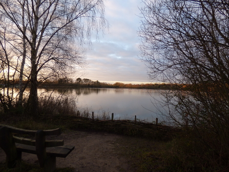 Winter view from 2nd bench at Lackford Lakes