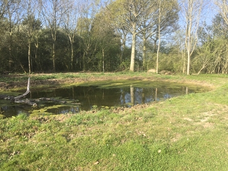 Farmland pond - Mike Porter