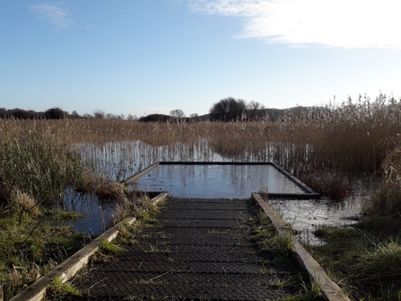 Dipping platform at Redgrave & Lopham Fen – Debs Crawford