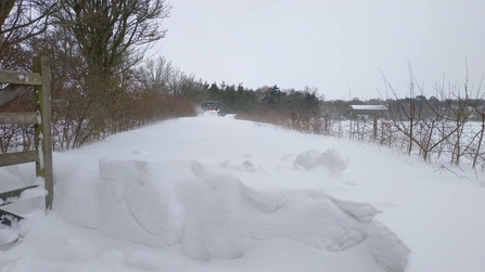 Storm Darcy at Church Farm - Dan Doughty