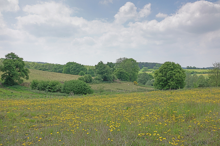 Arger Fen - Steve Aylward