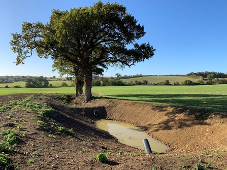 Restoring a ghost pond on Shimpling Park Farm