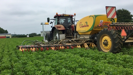 Tending food crops on Shimpling Park Farm