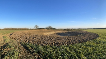 Restored ghost pond at Shimpling Park Farm