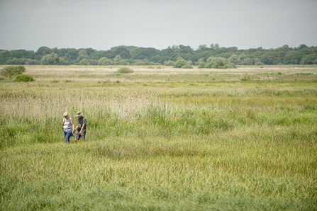 Carlton Marshes landscape, John Ferguson