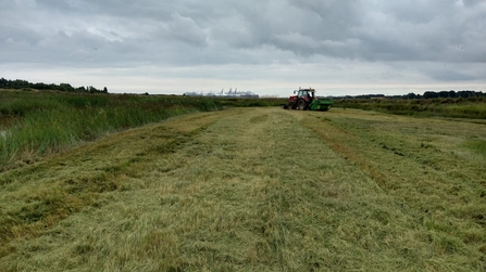 Levington Lagoon – Andrew Excell