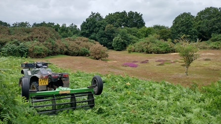 Bracken rolling at Darsham Marshes – Dan Doughty