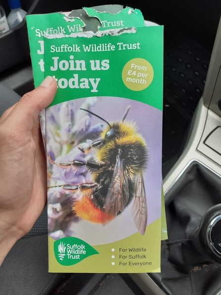 Suffolk Wildlife Trust