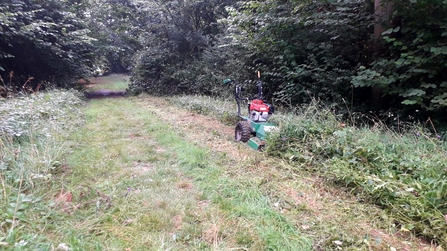 Ride management at Bradfield Woods - Alex Lack