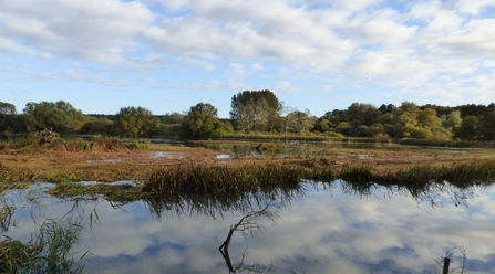 View from Bernard's hide at Lackford Lakes October 2021