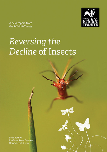 Reversing the decline of insects