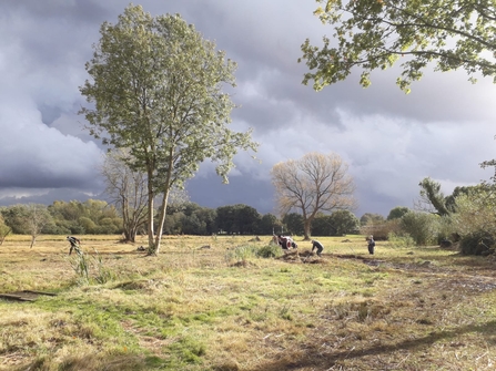 Thelnetham Fen work party - Debs Crawford