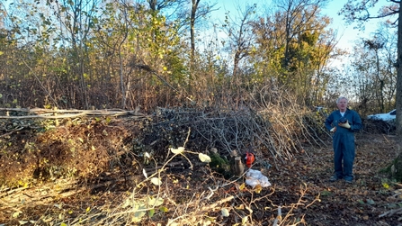 Dead hedging at Bradfield Woods - Alex Lack