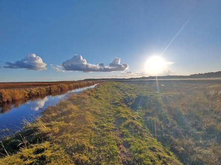 Dingle Marshes – Jamie Smith