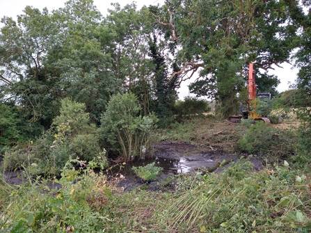 Farmland pond restoration work in progress - Jenny Rawson