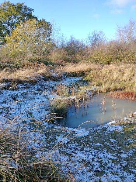 Snow at Black Bourn Valley – Michael Strand 