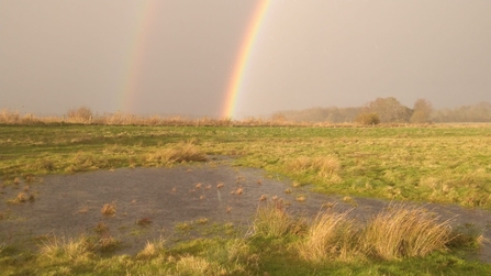 Trimley Marshes - Andrew Excell