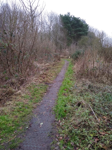 Path at Bloodman's Corner at Lound Lakes, Andy Hickinbotham