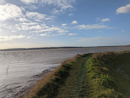 High tide at Hen Reedbeds, Jamie Smith