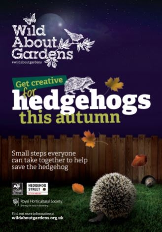 Wild about gardens hedgehog guide