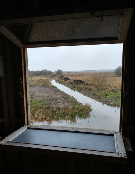 The new ditch at the Tower Hide - Lewis Yates.