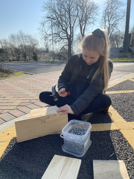 Nest box building - Lucy Shepherd