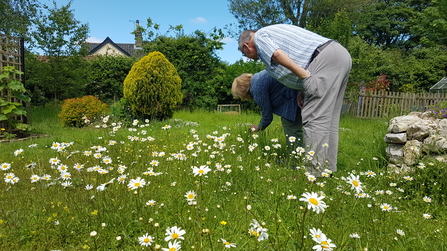 Kate and Dave's wildflower meadow - Cathy Smith