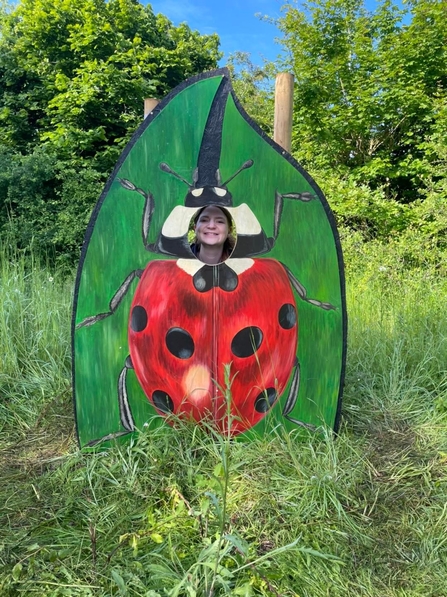 Charlotte at the Suffolk Show with a ladybird photo cut-out