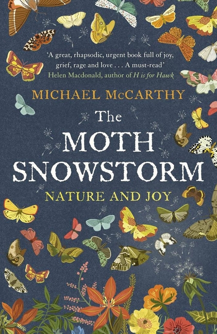 The Moth Snowstorm book cover