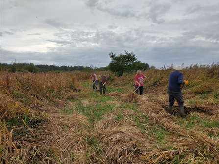 Volunteers clearing – Lewis Yates 