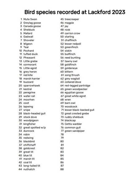 bird list 2023 end of Jan Lackford Lakes