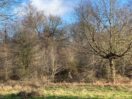 Woodland management away day – Matt Gooch 