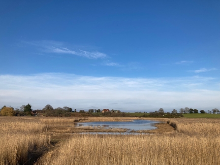 Hen reedbeds mere opened up by the Truxor machine, Matt Gooch