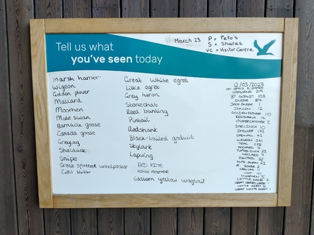 Sightings board at Carlton Marshes, Lewis Yates 