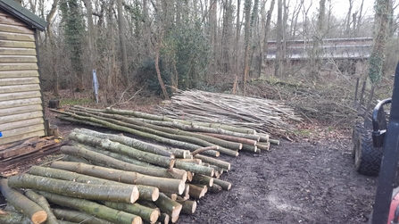 Woodland products at Bradfield Woods, Alex Lack
