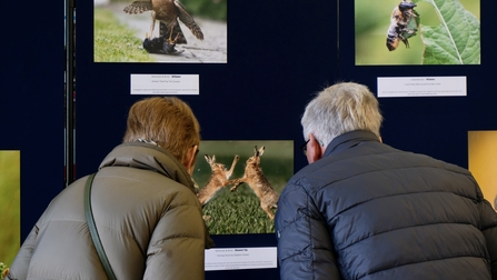 Viewing the winners and runners up gallery at Lackford Lakes, Kayleigh Jowers