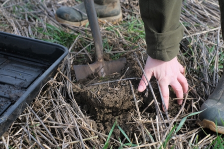 the living soil - farmland newspeice