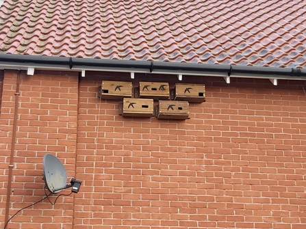 Swift boxes