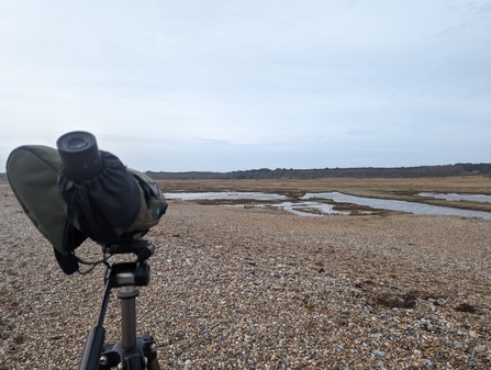 WeBs count at Dingle Marshes, Jamie Smith 