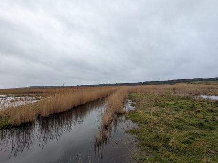 Dingle Marshes, Jamie Smith 