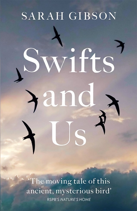 Wild Reads Swifts and Us