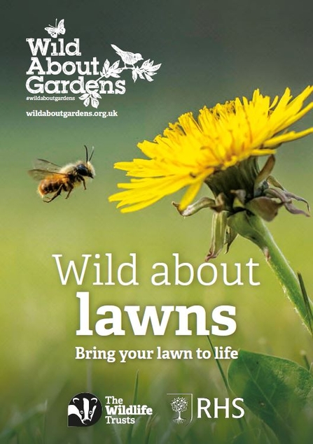 Wild about lawns booklet cover