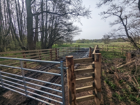 Cattle corral at Hen Reedbeds, Jamie Smith