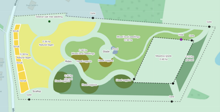 Example of an initial woodland design with features to benefit wildlife. Produced with Land app, Maddie Lord