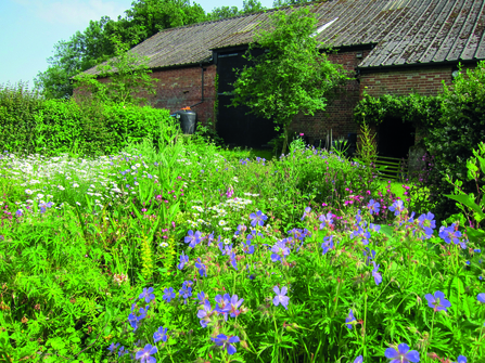 Foxburrow barn garden